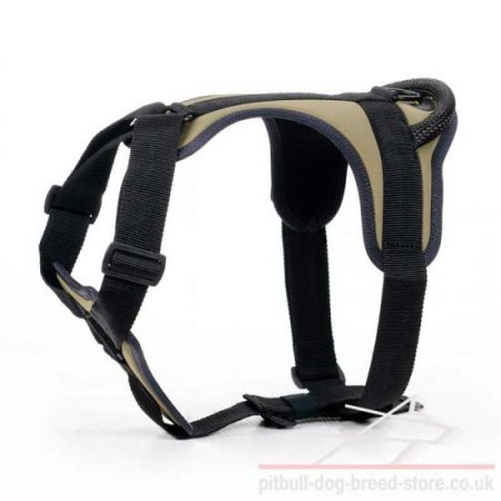 Pitbull Dog Harness of Nylon, Best for Daily Use!