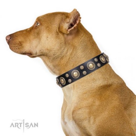 Designer Pitbull Dog Collar FDT Artisan "Baroque Chic"