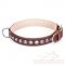 Soft Collar Staffordshire Bull Terrier "Cone" of Brown Leather