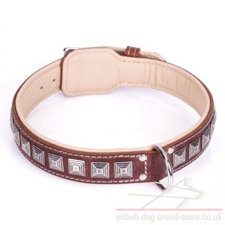 Dog Collar for American Staffy and Pitbull "Pyramid" Brown Color