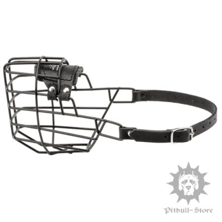Best Muzzle for English Bull Terrier Outing in Winter and Summer