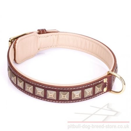 Wide Pitbull Collar of Brown Leather "Pyramid" with Brass Studs