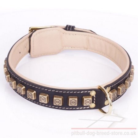 Thick Pitbull Dog Collar "Cube" with Brass Adornments