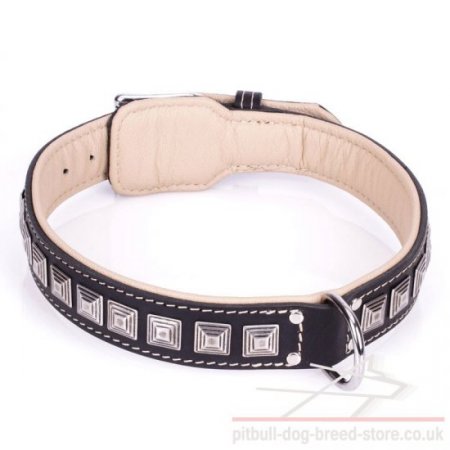 Collar for American Staffordshire Terrier and Pitbull "Pyramid"