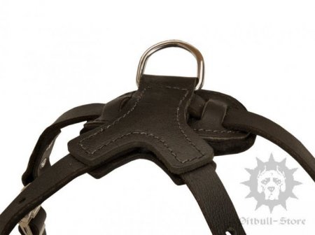 Pitbull Leather Dog Harness of Large Size with Spikes