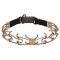 Non-allergenic Training Dog Prong Collar with Click Lock Buckle