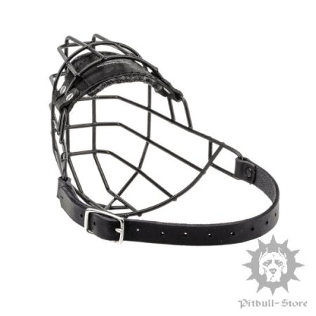 Best Muzzle for English Bull Terrier Outing in Winter and Summer