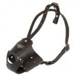 Dog Muzzle for Staffy, Anti-Bark and Stop Biting Model