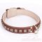 Strong Dog Collar for Pitbull "Cube" of Brown Leather with Nappa