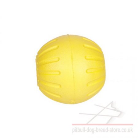 Hard to Break Dog Toy Ball Bite Resistant and Lightweight