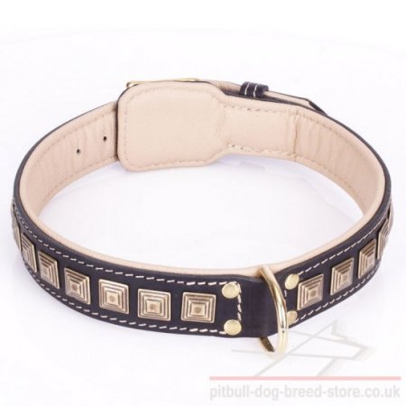 Wide Dog Collar for Pitbull "Pyramid" with Brass Details