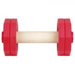 Red IGP Dumbbells for Athletic Staffy and Pitbull