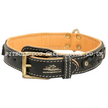 Cane Corso Leather Dog Collar of Royal Design