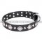 American Staffy Dog Collar "Code of Chivalry" FDT Artisan