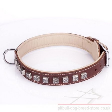 Thick Leather Dog Collar for Pitbull "Cube" Brown
