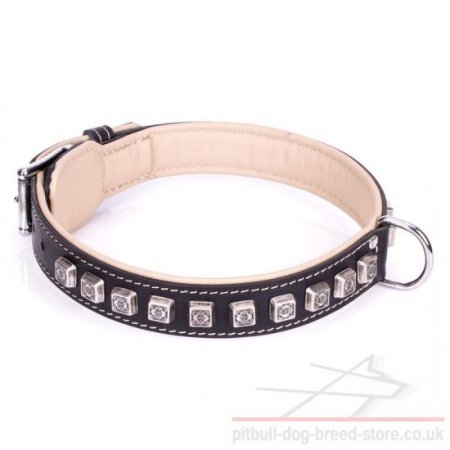 Thick Leather Collar for Pitbull "Cube" Nappa Lined