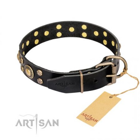 Designer Pitbull Dog Collar FDT Artisan "Baroque Chic"