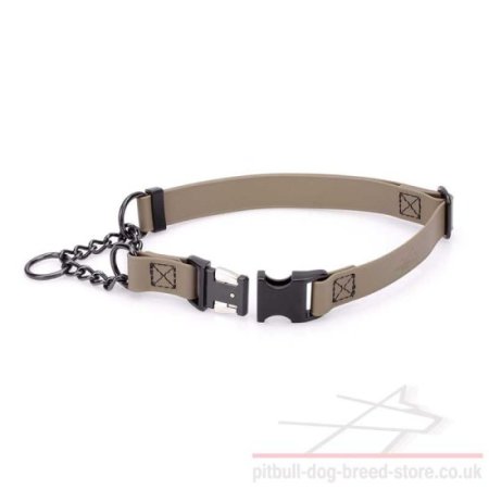Biothane Martingale Dog Collar with Quick-Detach Buckle