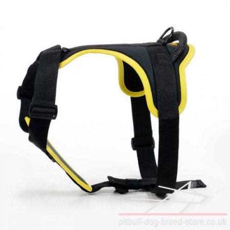 Best Pitbull Dog Harness for Safe and Comfortable Walks