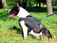 pitbull-uk-amstaff-harnesses-subcategory-leftside-menu