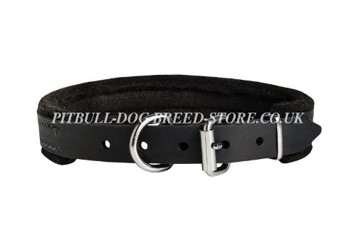 Strong Leather Dog Collar