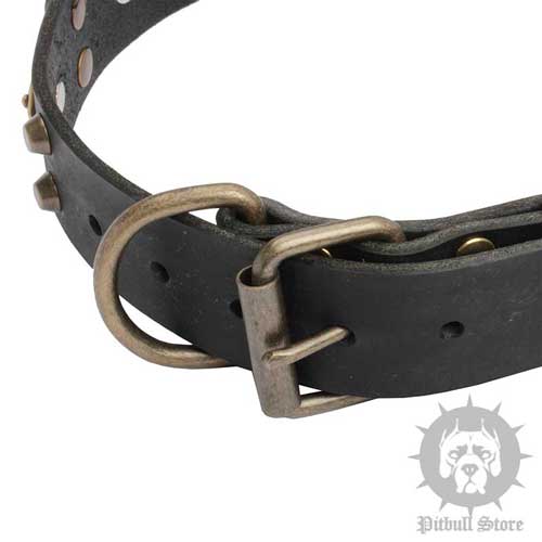 Brass Studded Dog Collar 