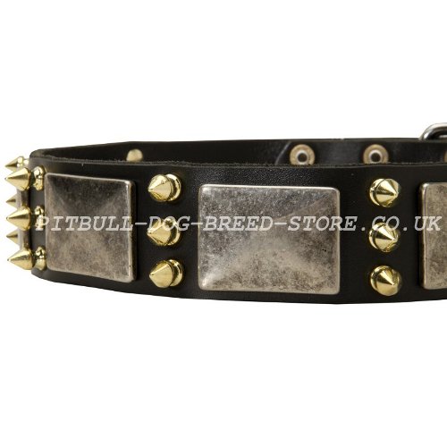 Cool Leather Dog Collar UK