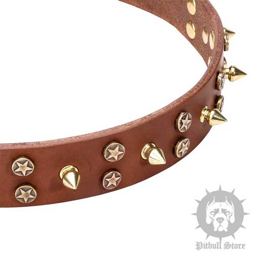 Dog Collar with Stars & Spikes