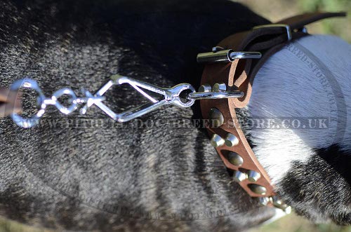 Bling Dog Collars for English Bull Terrier