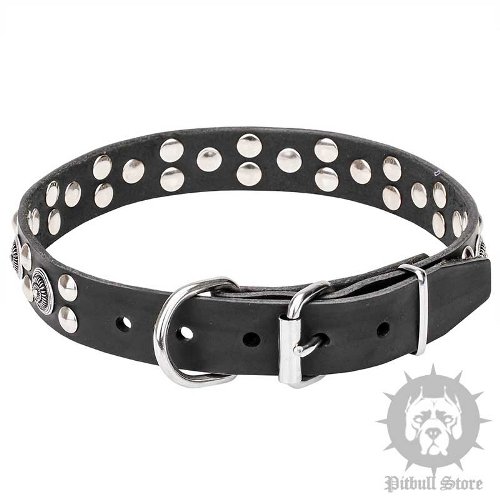 Leather Collar for Pitbull