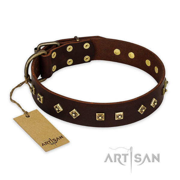 Leather Dog Collar for Pitbull
