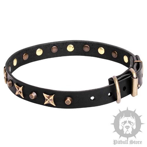 Leather Pitbull Dog Collars