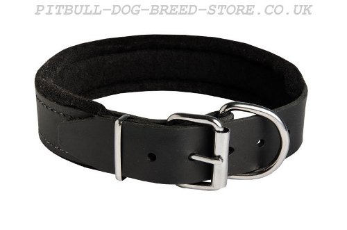 Soft Dog Collar UK