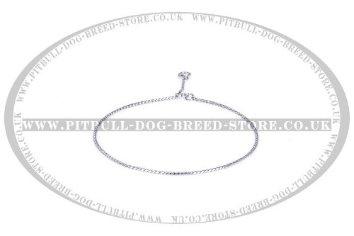 Pitbull Chain Dog Collar