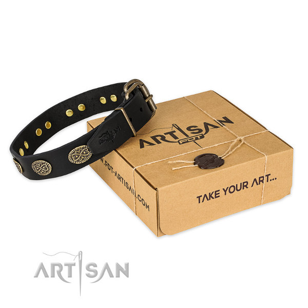 Pitbull Dog Collars for Sale