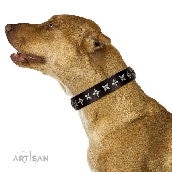 Pitbull Leather Dog Collar