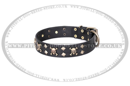 Staffordshire Leather Dog Collar