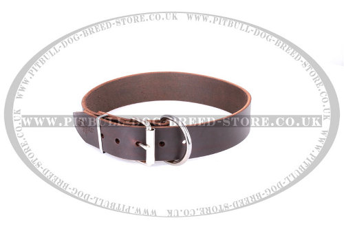 Staffy Leather Dog Collars UK