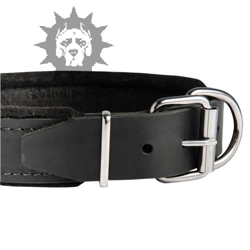 Padded Leather Dog Collar