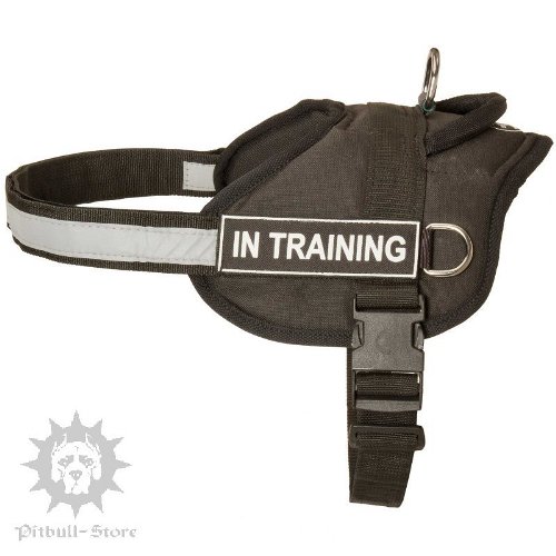 Cane Corso Training Harness
