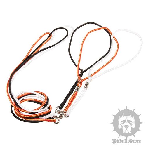 Best Leash and Collar for a Pitbull