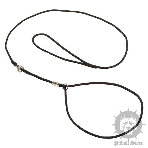 Best Leash and Collar for Pitbull