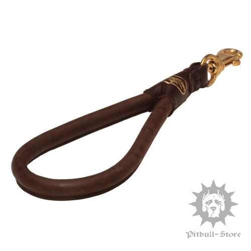 Rolled Leather Dog Lead