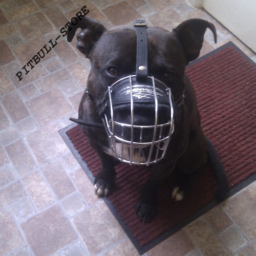 metal wire basket puppy muzzle