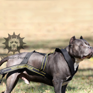 Pitbull Dog Pulling Harness