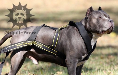 Weight Pulling Pit Bull Dog Harness, UK [H19##1047 Weight Pulling