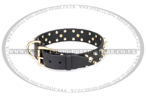 American Staffy Dog Collar "Rock Star" FDT Artisan
