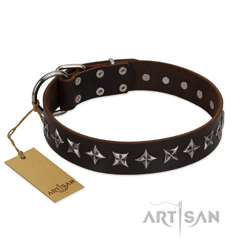 Cool Pitbull Dog Collar "Stars of Glory" FDT Artisan