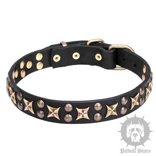"Myriads of Stars" Unique Dog Collar for Walks in Style