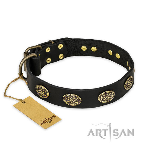 Dog Collar for a Pitbull "Vintage Attraction" Artisan